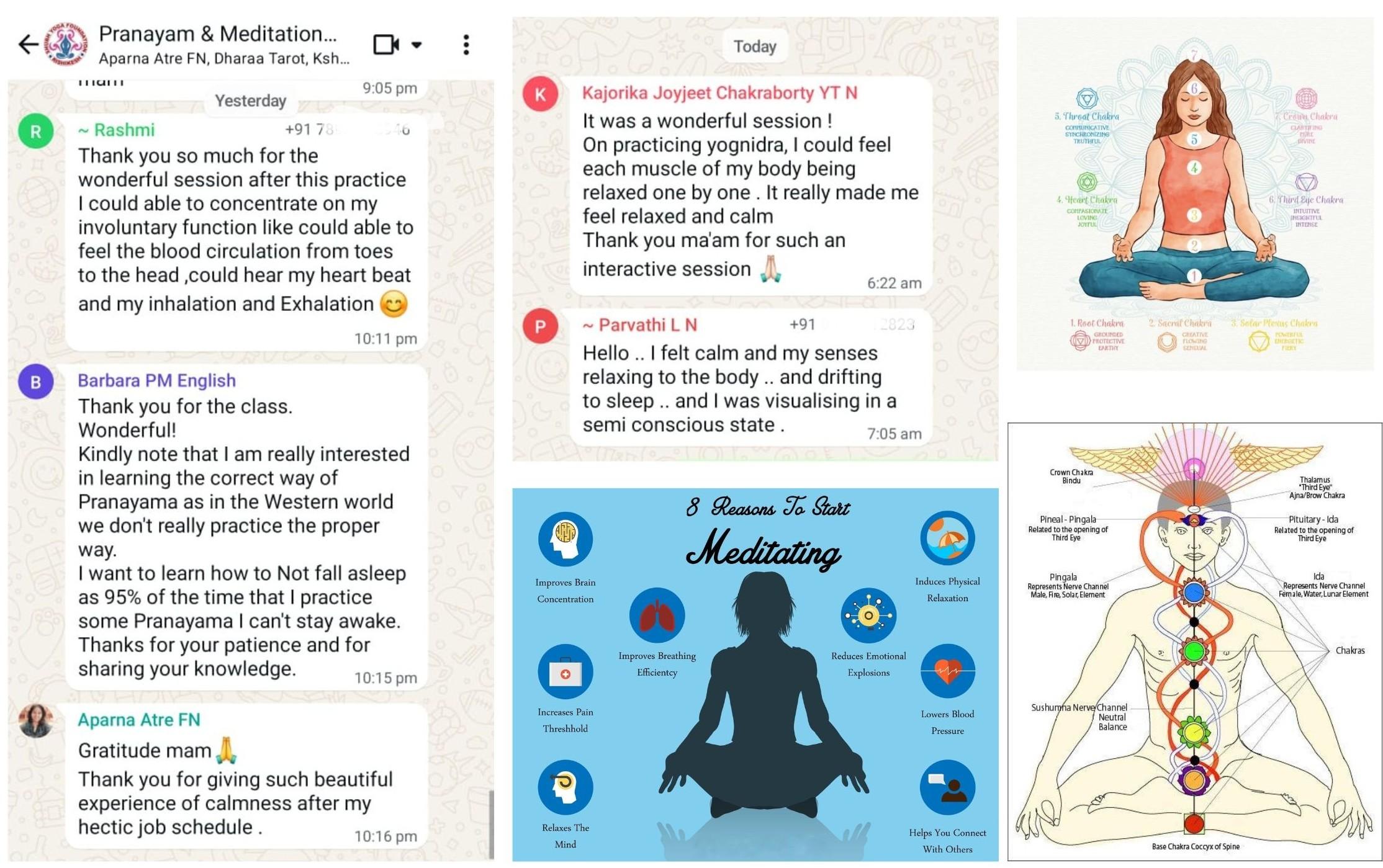 Red and Green Simple Modern Cricket Presentation - Red and White Simple Modern Cricket Presentation